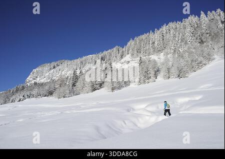 HAUTE-SAVOIE (74) CHAINE DES ARAVIS, STATION DE SKI LE GRAND-BORNAND, RANDONNEE EN RAQUETTES VERS LE HAMEAU DU CHINAILLON Stockfoto