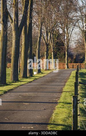 Schmaler Weg durch eine Allee von Bäumen an einem sonnigen Tag, Weseke, Münsterland, Deutschland Stockfoto
