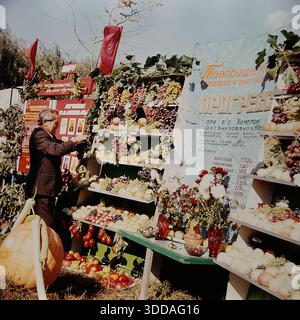 Slawjansk, Ukraine, UdSSR, 1980er Jahre Eine helle Szene vom Herbsterntefest auf dem Puschkin Boulevard. Ein älterer Mann im Anzug inspiziert eine reiche Ausstellung von Trauben und Äpfeln am Stand der Progress Gärtnerpartnerschaft, die mit der lokalen Khimprom-Anlage verbunden ist. Die Ausstellung zeigt einen großen Kürbis, lebhafte Erntestatistiken und eine rote Ehrentafel mit Porträts der besten Arbeiter. Dieses Archivbild fängt authentisch den landwirtschaftlichen Reichtum, die sozialistischen Traditionen und den Gemeinschaftsgeist der Stadt ein. Stockfoto
