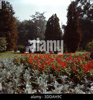 Slawjansk, Ukraine, UdSSR, 1980er Jahre Malerische Aussicht auf üppige Blumenbeete im Landschaftspark des Kurortes Slavkurort. Ein Bild hebt den Kontrast zwischen silbrigen, staubigen Mühlenpflanzen und knallroten Salviblüten hervor, die vor einem weißen Steinbrunnen und gepflegten Thuja-Bäumen stehen. Das andere Foto zeigt hohe Canna-Lilien mit dunklem Bronzebaub und roten Blüten. Diese Archivbilder erfassen die akribische Landschaftsgestaltung und die botanische Vielfalt des sowjetischen Sanatoriums an einem sonnigen Sommertag. Stockfoto