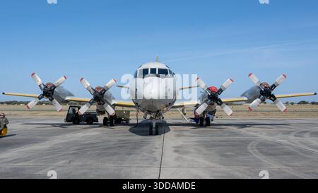 Beja, Portugal - 18. Juni 23: Vorderansicht eines militärischen Propellerflugzeugs auf einer Landebahn. Stockfoto