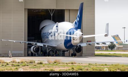 Sevilla, Spanien - 18. Juni 23: Ein großes Frachtflugzeug, Airbus Beluga, teilweise in einem Hangar. Stockfoto