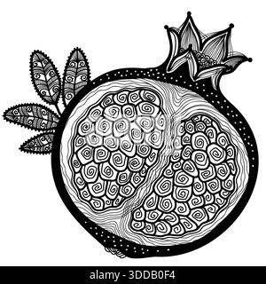 Granatfrucht Vektor Out Linie Skizze Illustration mit abstrakter Dekoration. Vektorgranat weiß schwarz grafische Illustration isoliert auf weißem Hintergrund Stock Vektor