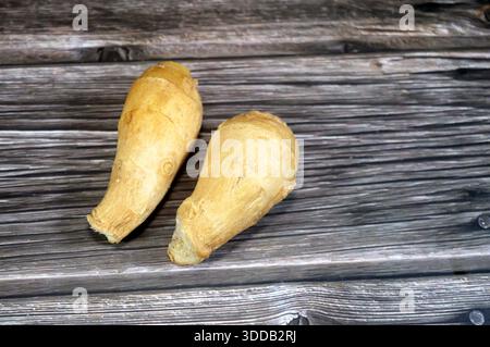 ingwerrhizome, der unterirdische Stamm der Zingiber officinale Pflanze, ein knuddeliger, aromatischer Teil, der als Gewürz für seinen scharfen Geschmack beim Kochen und verwendet wird Stockfoto