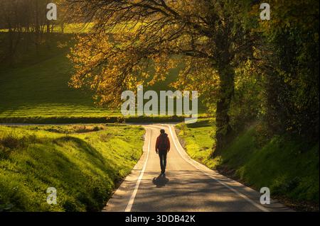 Wandern Sie auf einer malerischen, einsamen, schmalen Straße, die im Herbst vor dem sanften warmen Sonnenlicht gehalten und von den Ästen eines wunderschönen Baumes eingerahmt wird Stockfoto