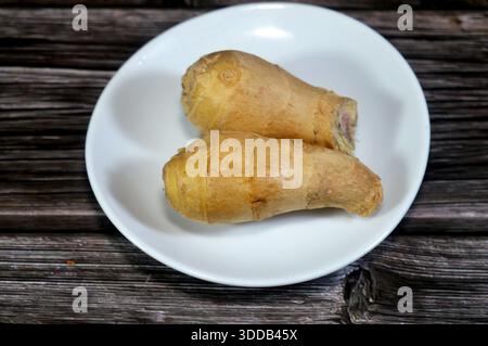 ingwerrhizome, der unterirdische Stamm der Zingiber officinale Pflanze, ein knuddeliger, aromatischer Teil, der als Gewürz für seinen scharfen Geschmack beim Kochen und verwendet wird Stockfoto