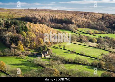 Wintersonne im oberen Farndale, den North Yorkshire Moors, England Stockfoto