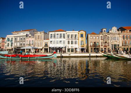 Farbenfrohe Moliceiro-Boote, die den Hauptkanal von aveiro kreuzen, vorbei an kunstvoll verzierten Jugendstilfassaden unter einem klaren Sommerhimmel und Reflexionen im Wasser Stockfoto
