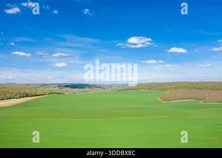Ausgedehnte grüne Felder erstrecken sich zu sanften Hügeln, die von Frühjahrswald bedeckt sind, unter einem leuchtend blauen Himmel mit verstreuten Wolken. Die offene ländliche Landschaft vermittelt Frische und Ruhe. Stockfoto