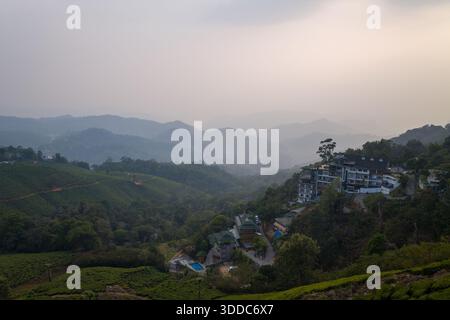 Ein Resort am Hang liegt über üppigen grünen Teeplantagen in Munnar, Indien, mit Schichten nebeliger Berge, die unter sanftem Abendlicht in die Ferne gleiten. Die ruhige Landschaft bietet sanfte Hänge, atmosphärischen Dunst und eine friedliche ländliche Stimmung. Stockfoto