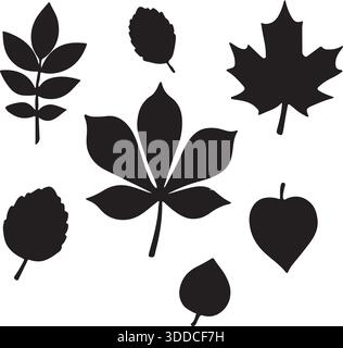 Blattsilhouetten-Kollektion, Sieben Eindeutige Schwarze Blätter Vektor-Illustration Stock Vektor