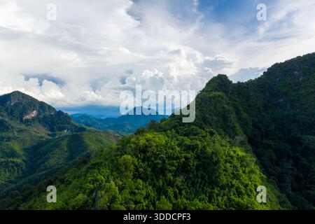 Lebhafte grüne Berge, bedeckt mit dichtem tropischem Wald, erheben sich unter einem Himmel voller hoch aufragender Cumuluswolken in der Nähe von Nong Khiaw, Laos. Die weitläufige Landschaft bietet sanfte Hügel und tiefe Täler, die von sanftem Tageslicht beleuchtet werden. Stockfoto