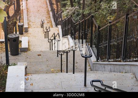 Betontreppen mit Geländern, die sich über einen schrägen urbanen Parkweg schlängeln, der mit herbstlichen Blättern bedeckt ist und eine einladende Abfahrt zeigt Stockfoto