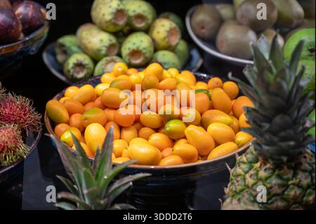 Auswahl an frischen exotischen Früchten wie Mango, tropische Drachenfrüchte, Litschi, Sternenfrüchte, bunt, saftig und mit natürlicher Süße und Nährstoffen, in Stockfoto