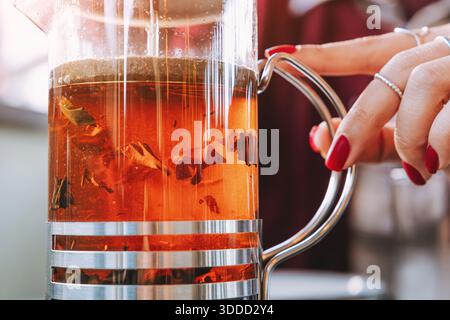Frauen Hand mit roten Nägeln drücken Glas Französisch Presse Infuser, Brühen warmen Kräutertee für gemütliche, entspannende Morgen Selbstpflege Stockfoto