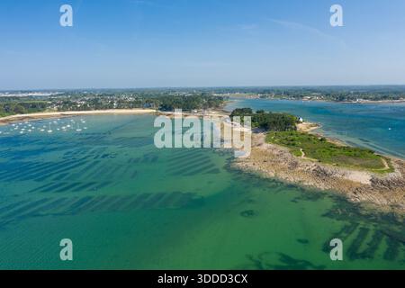 Drohnenblick auf eine felsige Halbinsel mit üppigem Grün umgeben von smaragdgrünem Wasser und sichtbaren Austernbetten in der Nähe von Anse de Trehennarvour, St. Philibert, unter einem klaren blauen Himmel. Stockfoto