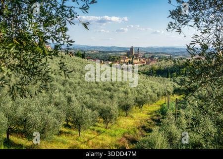 Panoramablick auf Vinci, den Geburtsort von Leonardo da Vinci, eingerahmt von Olivenbäumen. Mittelalterliche Burg und Kirchturm in der toskanischen Landschaft nahe F Stockfoto