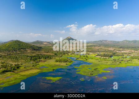 Aus der Vogelperspektive sehen Sie saftige grüne Feuchtgebiete und verstreute Bäume, die sich in sanft sanfte Hügel unter einem leuchtend blauen Himmel in der Nähe des Brateak Krola Lake in Kampong Chhnang, Kambodscha, erstrecken. Flecken von aquatischer Vegetation und offenem Wasser erzeugen natürliche Muster in der weitläufigen Landschaft. Stockfoto