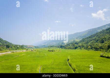 Ausgedehnte Reisfelder erstrecken sich über ein weites Tal, das von üppigen bewaldeten Hügeln und fernen blauen Bergen unter klarem Himmel im Norden Vietnams begrenzt wird. Helles Sonnenlicht verstärkt die lebendigen Grüntöne und die ruhige ländliche Atmosphäre. Stockfoto