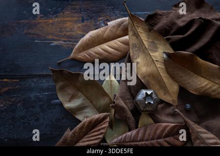 Moody Herbststill Life mit getrockneten Blättern auf dunklem rustikalem Holz, gepaart mit weichem braunem Stoff und einer kleinen Granatapfelform Bronze-Box. Stockfoto