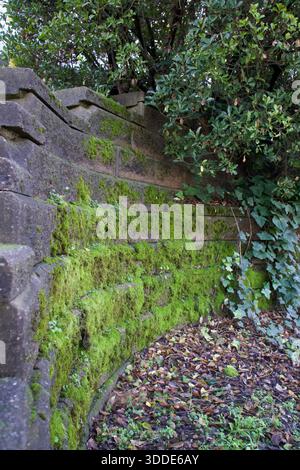 Moosbedeckte Steinmauern in einer natürlichen Umgebung Stockfoto