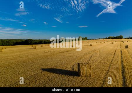 Große zylindrische Heuballen sind über ein sonnendurchflutetes, geerntetes Hangfeld verstreut, mit ordentlichen Stoppelreihen, die zu einer entfernten Baumlinie führen. Wabernde Wolken ziehen über einen leuchtend blauen Himmel und heben die offene ländliche Landschaft hervor, die typisch für Zentralfrankreich im Spätsommer ist. Stockfoto