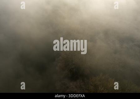 Blick aus der Vogelperspektive auf dicken Nebel, der lautlose Winterbäume in der ländlichen Landschaft von Loiret umhüllt. Sanftes goldenes Licht durchströmt den Nebel und erzeugt eine geheimnisvolle und ruhige Stimmung. Stockfoto