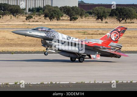 Die polnische Luftwaffe F-16Cs während der NATO-Tiger Meet Übungen in Beja. Mit spezieller Tiger-Lackierung. Stockfoto