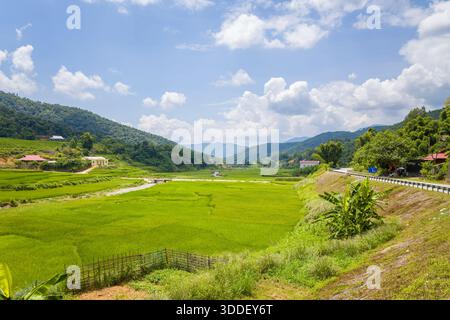 Ausgedehnte grüne Reisfelder erstrecken sich entlang einer ruhigen Landstraße, umgeben von bewaldeten Hügeln und verstreuten Häusern unter einem hellblauen Himmel mit flauschigen Wolken im Norden Vietnams. Die Landschaft ist üppig und friedlich, mit lebendigen natürlichen Texturen und offener Landschaft. Stockfoto
