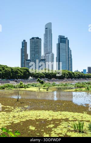 Buenos Aires ökologisches Naturschutzgebiet vor modernen Hochhäusern Stockfoto