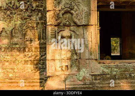 Das Licht am späten Nachmittag beleuchtet ein kompliziertes apsara-Basrelief auf der verwitterten Sandsteinwand des Tempels Ta Prohm in Kambodschas Angkor. Die detaillierte Khmer-Skulptur ist von strukturiertem Mauerwerk und subtilem Moos umgeben, was die Kunstfertigkeit dieser historischen Stätte unterstreicht. Stockfoto