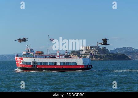 San Francisco. Oktober 2025. - Ein rot-weißes Passagierschiff fährt die Bucht von San Francisco, mit Alcatraz Island und zwei Pelikanen im Flug. Stockfoto