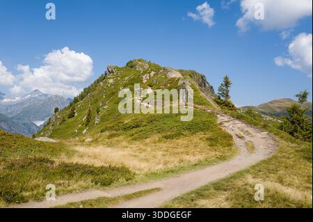 Ein gewundener Schotterweg führt durch grasbewachsene Wiesen und grüne Sträucher zu einem zerklüfteten Hügel mit weit entfernten schneebedeckten Gipfeln und einem blauen Himmel mit Wolken im Aiguillettes des Posettes. Stockfoto