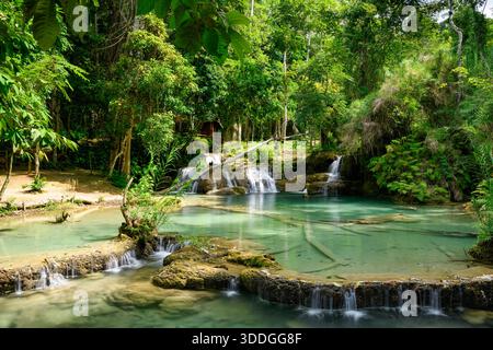 Klares türkisfarbenes Wasser fließt über kleine Kalksteinterrassen in ruhige Pools, die von dichtem grünen Wald an den Kuang Si Falls im Norden von Laos umgeben sind. Sonnenlicht hebt üppiges Laub und natürliche Felsstrukturen in dieser lebendigen Dschungellandschaft hervor. Stockfoto