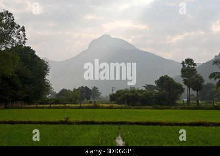 Der Arunachala-Hügel, einer der fünf wichtigsten heiligen Orte der Shaiva in Südindien, entlang des Girivalam-Umgehungsweges von seiner Basis, Tiruvannamalai, zu sehen Stockfoto