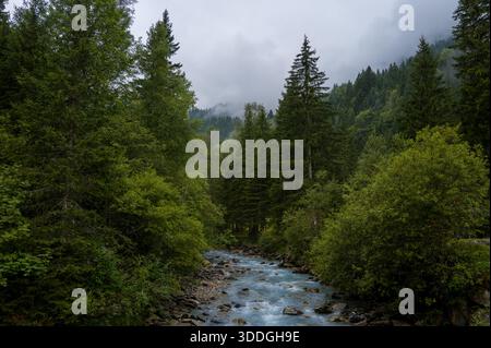 Ein sich windender Bergfluss fließt durch dichten immergrünen Wald unter tief hängendem Nebel und bewölktem Himmel, umgeben von üppigem Grün und zerklüftetem Gelände. Stockfoto