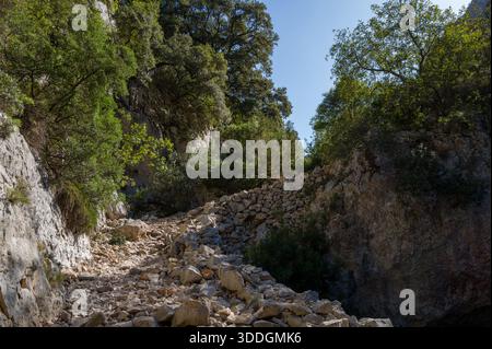 Ein felsiger Wanderweg schlängelt sich durch eine enge Schlucht, die von steilen Kalksteinfelsen und dichten grünen Bäumen in der Nähe von Baunei, Sardinien, umgeben ist. Das Sonnenlicht unterstreicht die rauen Texturen von Stein und Laub in dieser wilden mediterranen Umgebung. Stockfoto
