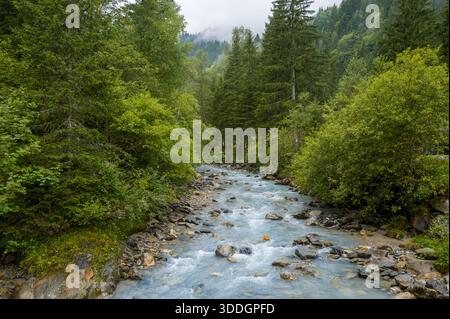Klarer Gebirgsfluss mit türkisfarbenen Wasserwinden zwischen dichten grünen Bäumen und moosigen Felsen, eingerahmt von nebeligen Hügeln und bewölktem Himmel in einer ruhigen alpinen Landschaft. Stockfoto
