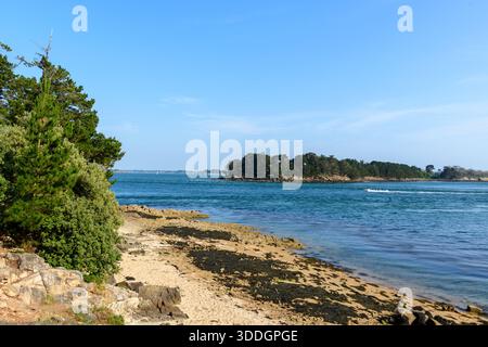Eine ruhige felsige Küste mit Sandflecken und üppigen grünen Bäumen überblickt das ruhige blaue Wasser mit einer bewaldeten Insel in der Ferne unter einem hellen, wolkenlosen Himmel. Stockfoto