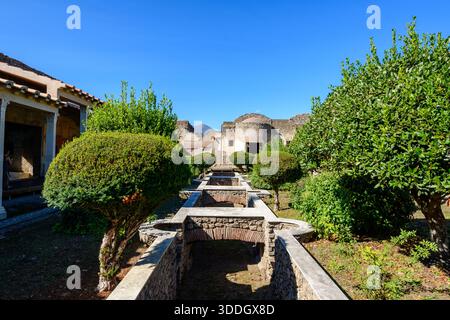Sträucher und Steinbecken säumen den formellen Garten des Hauses Julia Felix in Pompeji, Italien. Helles Sonnenlicht unterstreicht gepflegtes Grün, römisches Mauerwerk und das geometrische Layout unter einem leuchtend blauen Himmel mit antiken Ruinen. Stockfoto