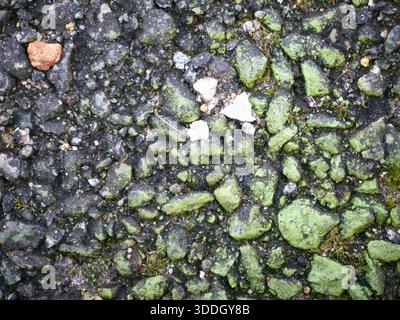 Nahaufnahme der Mossy Asphalt Texture Stockfoto