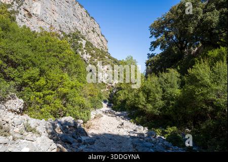 Ein sonnendurchfluteter felsiger Pfad schlängelt sich durch einen engen Canyon, der von steilen Kalksteinklippen und dichter mediterraner Vegetation unter einem klaren blauen Himmel flankiert wird. Die zerklüftete Landschaft besticht durch leuchtend grünes Laub und strukturierte Steinoberflächen. Stockfoto