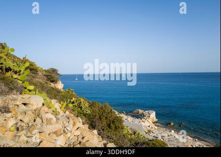 Grüne Kakteen und zerklüftete Felsen säumen eine sonnendurchflutete Mittelmeerküste mit Blick auf das tiefblaue Wasser, mit Segelbooten am Horizont in der Nähe von Porto Giunco. Stockfoto