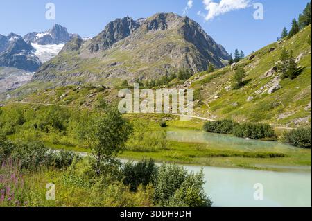 Ein blassblauer Alpenfluss schlängelt sich durch üppige grüne Vegetation und Wildblumen, umgeben von schroffen Berghängen und einem Gletscher unter einem klaren Sommerhimmel. Stockfoto