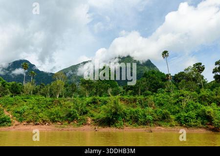 Niedrige Wolken überragen die Gipfel der üppig grünen Hügel über dem schlammigen Fluss Nam ou bei Muang Ngoi im Norden von Laos. Dichte tropische Vegetation und hohe Palmen säumen das Ufer und schaffen eine lebendige Landschaft unter hellem Himmel. Stockfoto