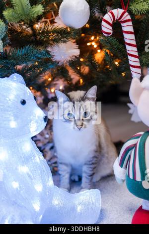 Gemütliche Winterszene im Innenbereich mit niedlichen blauäugigen Katzen, die sich unter dem Weihnachtsbaum versteckt, umgeben von festlichen Ornamenten, warmen Lichtern und Weihnachtsdekorationen Stockfoto