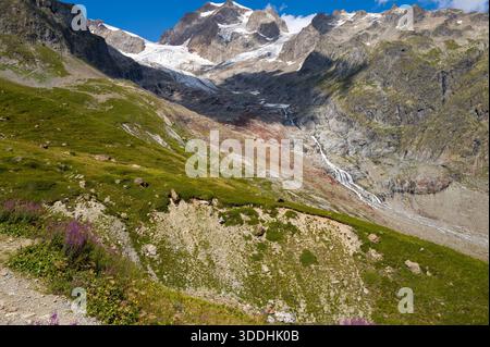 Leuchtende lila Wildblumen und üppige grüne Wiesen umgeben einen dramatischen Blick auf den Glacier de la Lee Blanche und die Aiguilles de Tre la Tete, mit einem Gletscherbach, der unter hellem Sommersonnenlicht felsige Hänge herabstürzt. Stockfoto