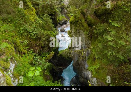 Eine dramatische felsige Schlucht, bedeckt mit üppigem grünem Moos und dichter Waldvegetation, mit einem lebhaften türkisfarbenen Bergfluss, der schnell durch die enge Schlucht weit unten fließt. Stockfoto