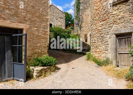 Ruhige Schotterstraße in La Couvertoirade, umgeben von strukturierten Steinhäusern, offener blau gerahmter Tür, verwittertem Holzeingang und üppigem Grün unter einem hellen Sommerhimmel. Stockfoto