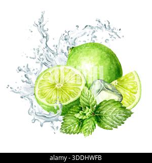 Frische ZitrusLimette, Minzblätter, Eiswürfel und Spritzer kristallklares Wasser. Handgemalte Aquarellabbildung isoliert auf weißem Hintergrund Stockfoto